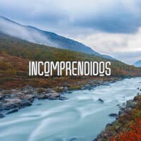 Incomprendidos