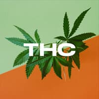 THC: The Hits Collection