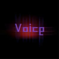 Voice