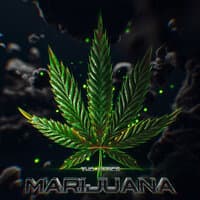 Marijuana