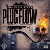 Plug Flow