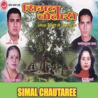 Simal Chautaree