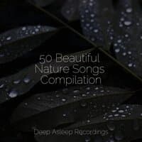 50 Beautiful Nature Songs Compilation