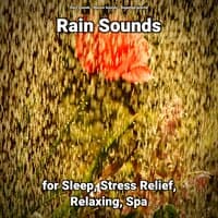 Rain Sounds for Sleep, Stress Relief, Relaxing, Spa