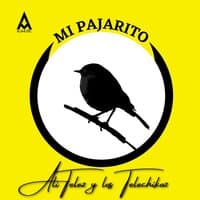 Mi Pajarito