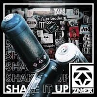 Shake It Up