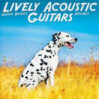 Lively Acoustic Guitars