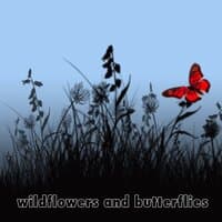 Wildflowers and Butterflies