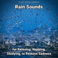 Rain Sounds for Relaxing, Napping, Studying, to Release Sadness