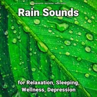 Rain Sounds for Relaxation, Sleeping, Wellness, Depression