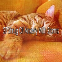 27 Shrug of Anxiety with Storms