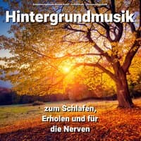 Hintergrundmusik zum Schlafen, Erholen und für die Nerven