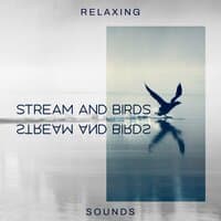 Relaxing Stream and Birds Sounds: Focus & Meditation Music