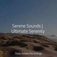 Serene Sounds | Ultimate Serenity