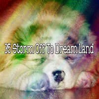 35 Storm off to Dream Land