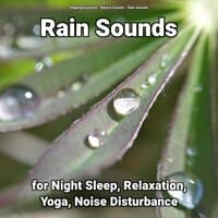 Rain Sounds for Night Sleep, Relaxation, Yoga, Noise Disturbance