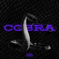 Cobra