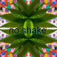 no shake