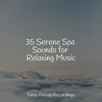 35 Serene Spa Sounds for Relaxing Music