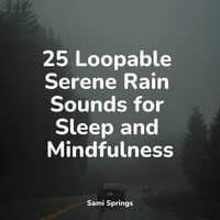 25 Loopable Serene Rain Sounds for Sleep and Mindfulness