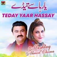 Teday Yaar Hassay - Single