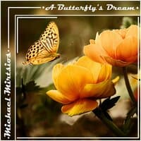 A Butterfly's Dream