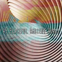 45 Peaceful Ambient Auras