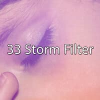 33 Storm Filter