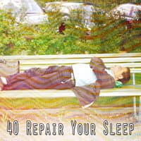 40 Repair Your Sleep