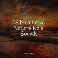 25 Meditative Natural Rain Sounds