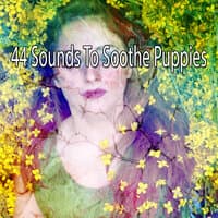 44 Sounds to Soothe Puppies