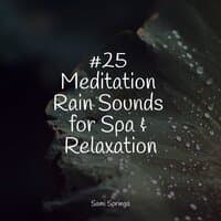 #25 Meditation Rain Sounds for Spa & Relaxation