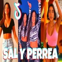 Sal y Perrea Dance Challenge