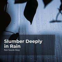 Slumber Deeply in Rain