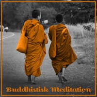 Buddhistisk Meditation – Öppna din Kropp och Ditt Sinne för Djup Meditation