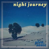 Night Journey