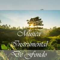 Música Instrumental De Fondo