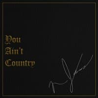 You Ain't Country