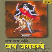 Jai Jai Ambe Jai Jagdambe, Vol. 9