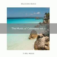 ! The Music of Calmness vol. 1