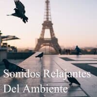 Sonidos relajantes del ambiente