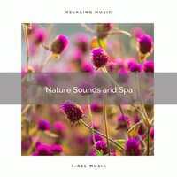 2021 Nature Sounds and Spa