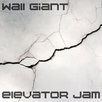 Wall Giant