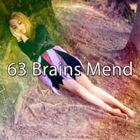 63 Brains Mend