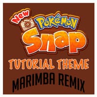 Tutorial Theme (From "New Pokémon Snap")