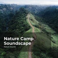 Nature Camp Soundscape