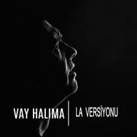 Vay Halıma