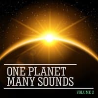 One Planet Many Sounds, Vol. 2