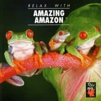 Relax With…Amazing Amazon