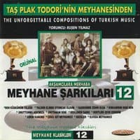 Meyhane Şarkıları 12